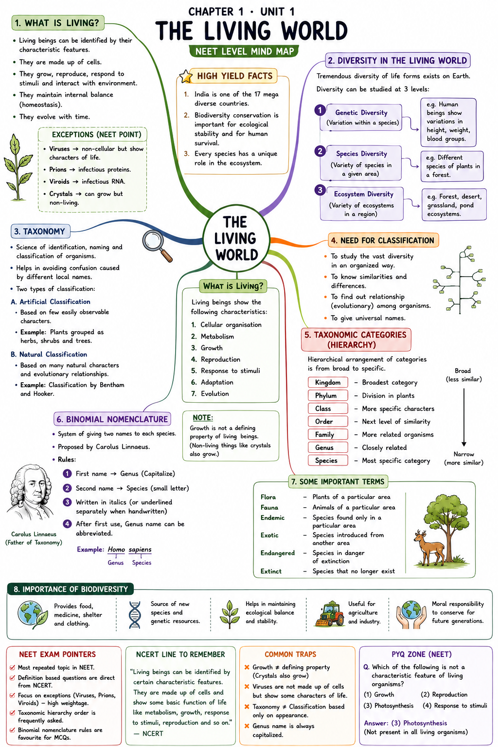 Mindmap — The Living World