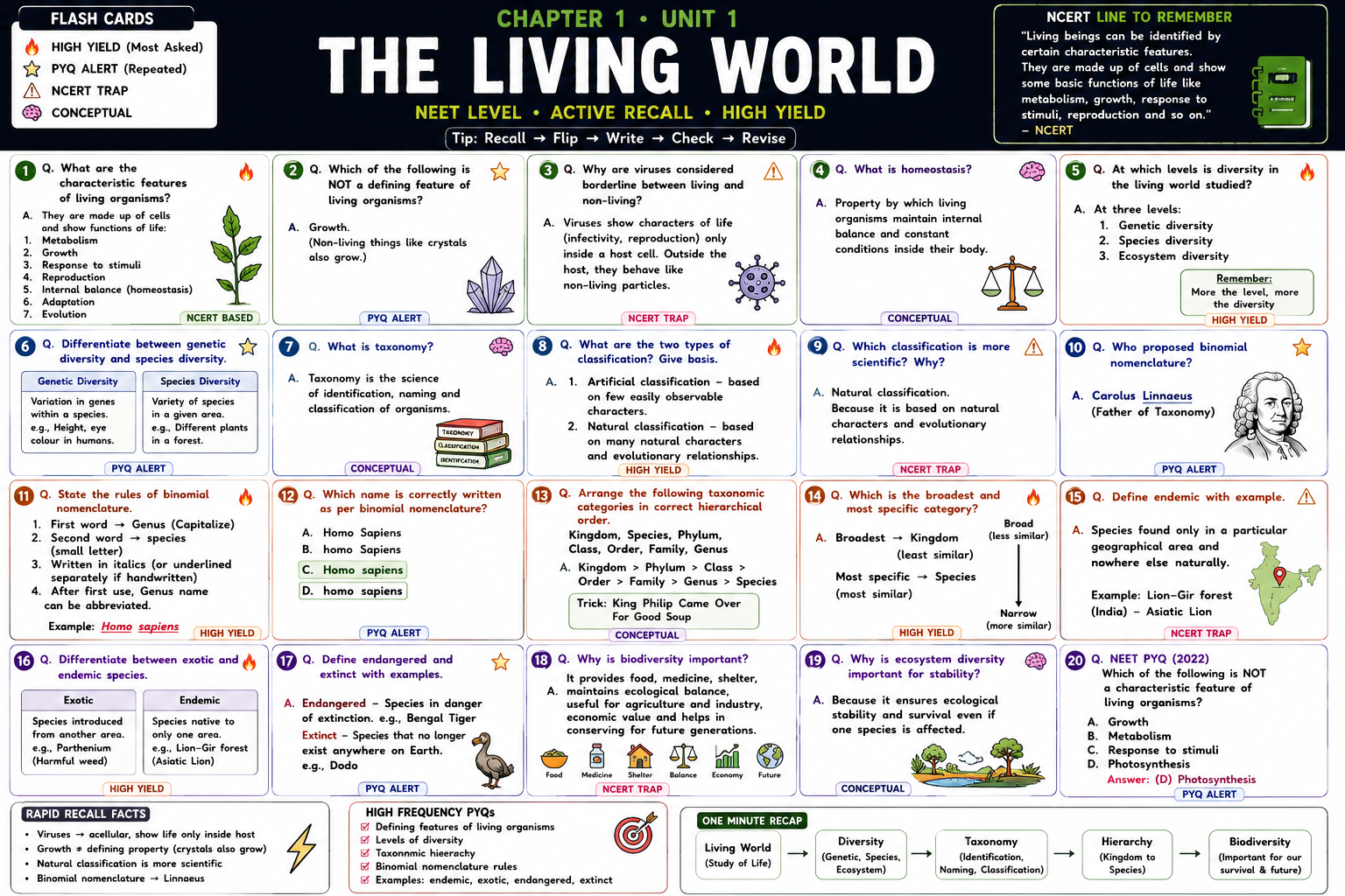 Flashcards — The Living World
